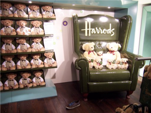 Picture -> My shoe and the famous teddy bear of Harrods
