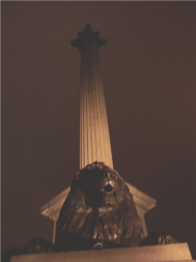 Picture -> My shoe defying a Lion at Trafalgar Square by night