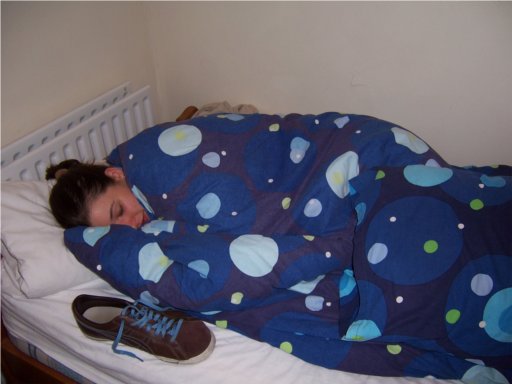 Picture -> My shoe sleeping with Alice